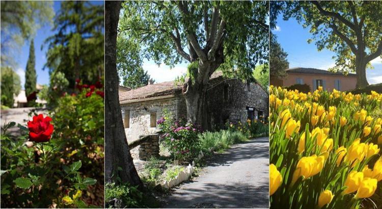 Le Hameau De L'Etoile Ξενοδοχείο Saint-Martin-de-Londres Εξωτερικό φωτογραφία